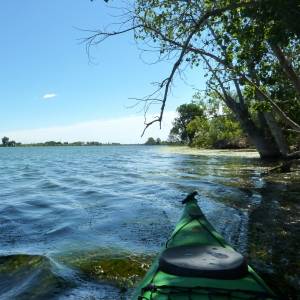 Illes de Grcia i Sapinya en caiac (riu Ebre)