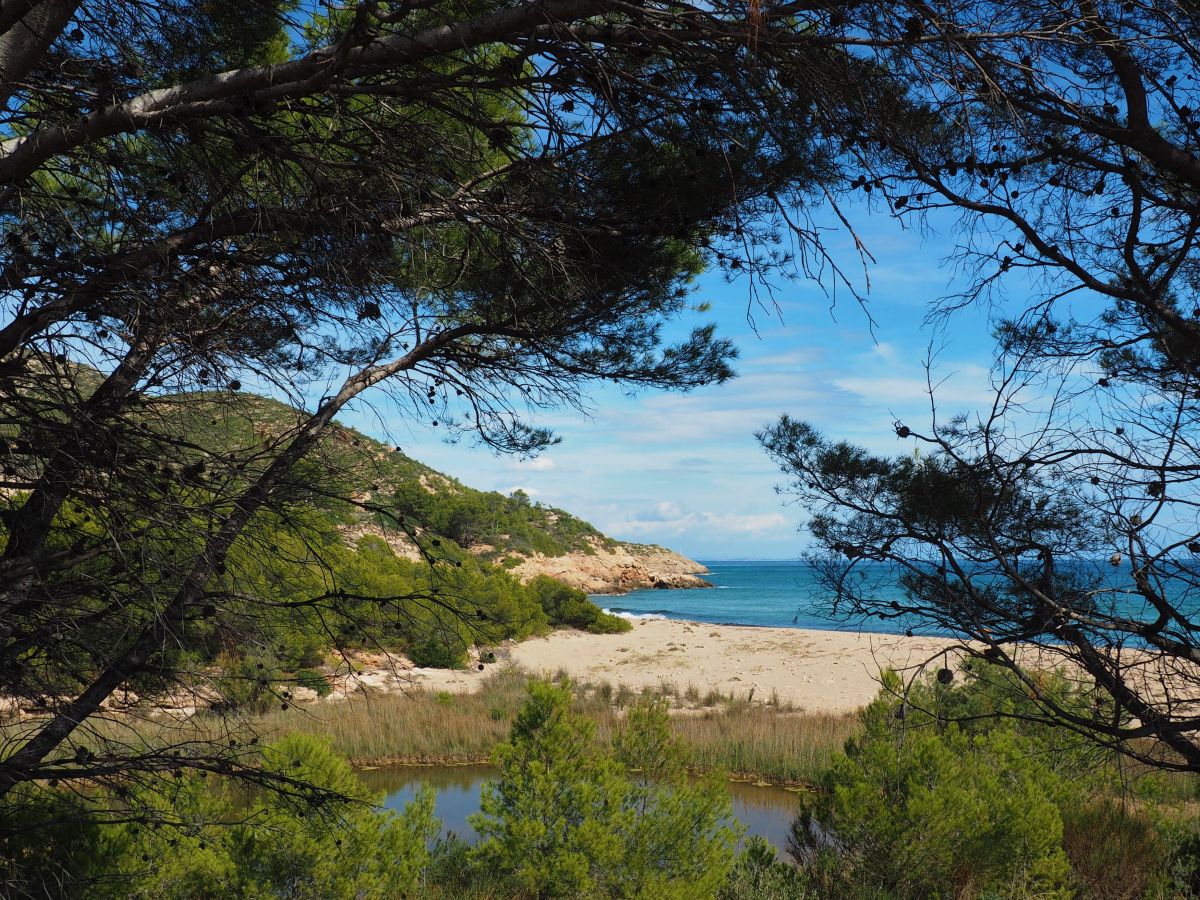 Vandells y Hospitalet de l’Infant, donde el mar se hace montaa | EbreActiu.cat, revista digital de ocio activo | Terres de l’Ebre...