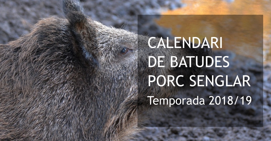 Calendari de batudes de porc senglar | EbreActiu.cat, revista digital d’oci actiu | Terres de l’Ebre ...