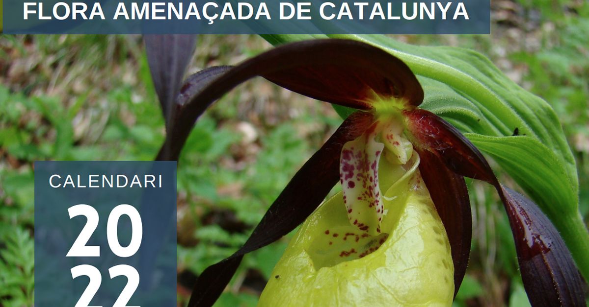 Medi Ambient edita un calendari amb 12 espcies de flora amenaades | EbreActiu.cat, revista digital d’oci actiu | Terres de l’Ebre ...