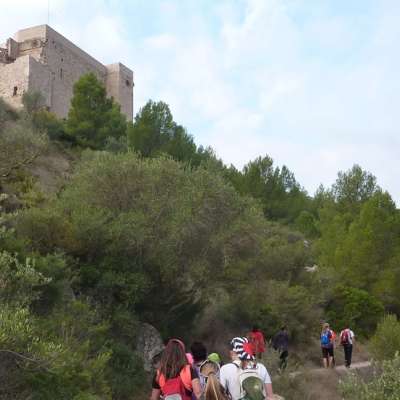 Celebrat el 51 Cam de muntanya de la FEEC a Miravet