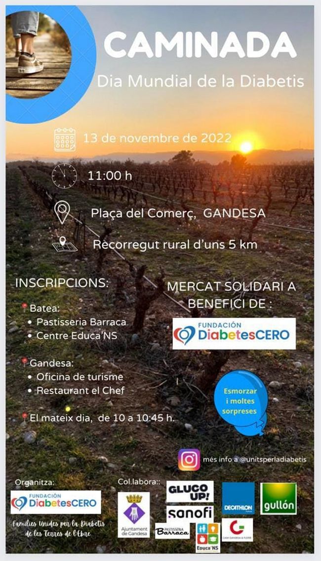 Caminada Dia Mundial de la Diabetis