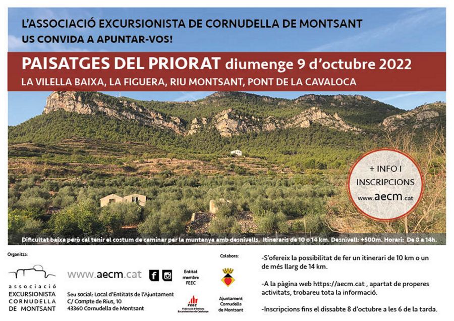 Caminada: Mosaic de paisatge al Priorat des de la Figuera