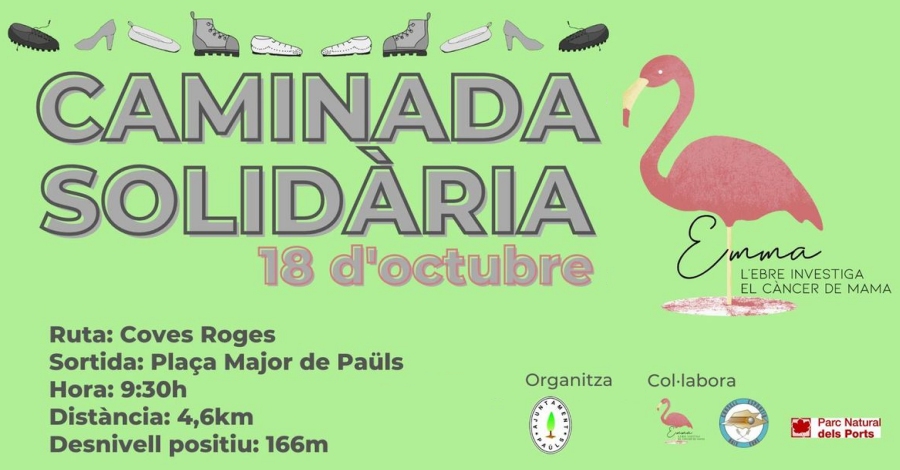 Caminata Solidaria - Projecte Emma [AJORNADA]