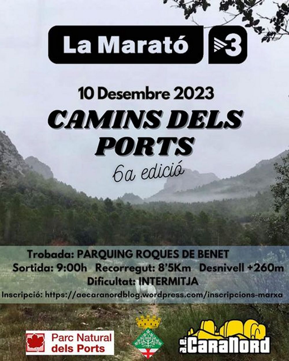 6a edici Camins dels Ports