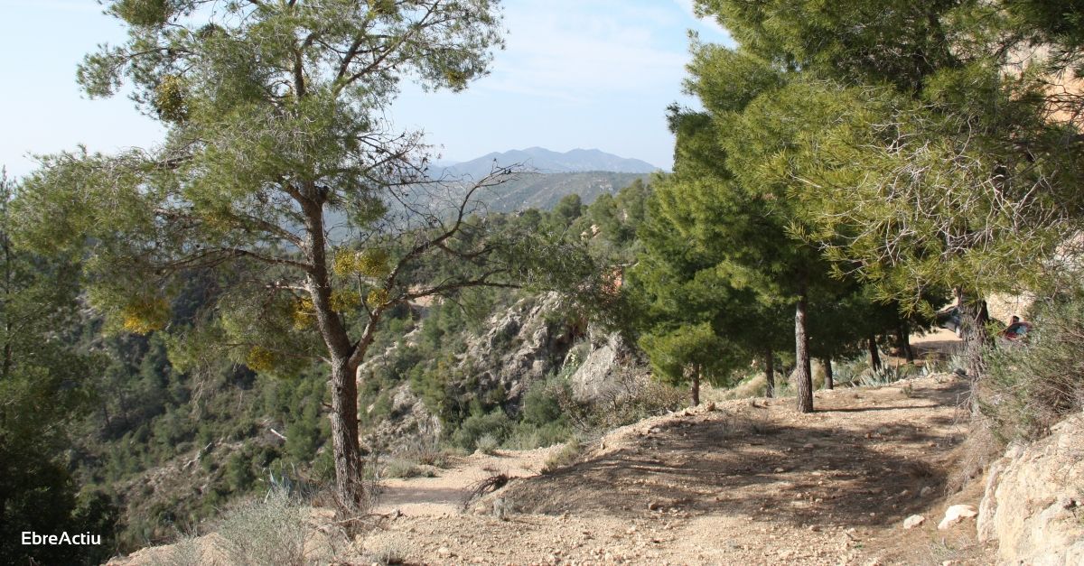 Camins de la Duatl de Garcia