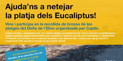 Ajudans a netejar la platja dels Eucaliptus