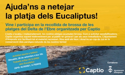 Ajudans a netejar la platja dels Eucaliptus