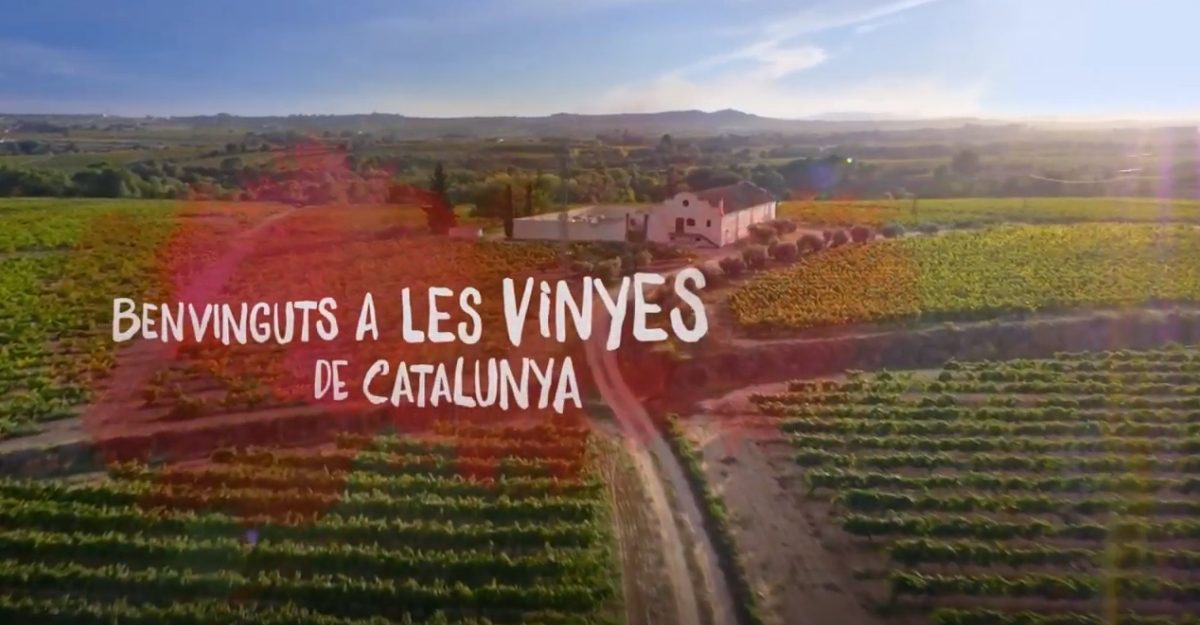 Campaa para promover el turismo del vino en Catalunya | EbreActiu.cat, revista digital de ocio activo | Terres de l’Ebre...