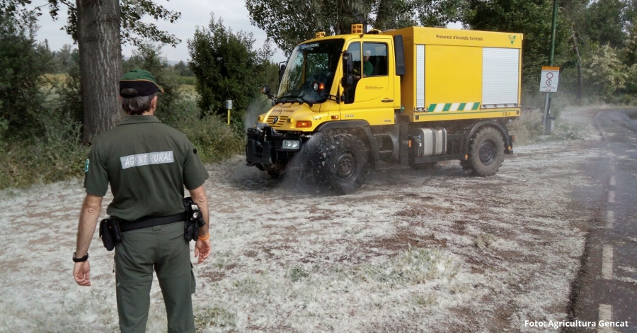 Agricultura inicia la campanya per reduir els incendis als boscos de ribera | EbreActiu.cat, revista digital d’oci actiu | Terres de l’Ebre ...