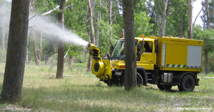 Agricultura inicia la campanya per reduir els incendis als boscos de ribera | EbreActiu.cat, revista digital d’oci actiu | Terres de l’Ebre ...