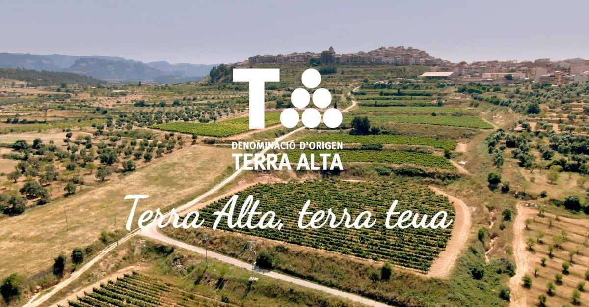 La DO Terra Alta presenta Terra Alta, Terra Teua, una campanya que convida a gaudir de la comarca a travs dels seus vins | EbreActiu.cat, revista digital d’oci actiu | Terres de l’Ebre ...