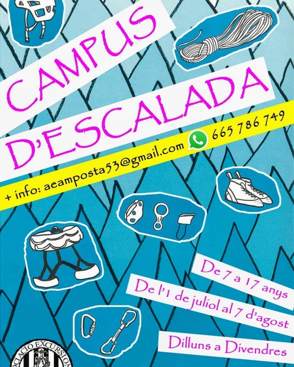 Campus d’escalada