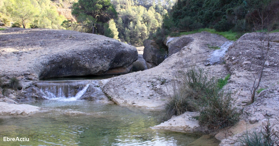 Descobreix la riquesa natural de la Terra Alta | EbreActiu.cat, revista digital d’oci actiu | Terres de l’Ebre ...