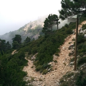 lbum: ruta Un Km vertical, dos moles i dos forats