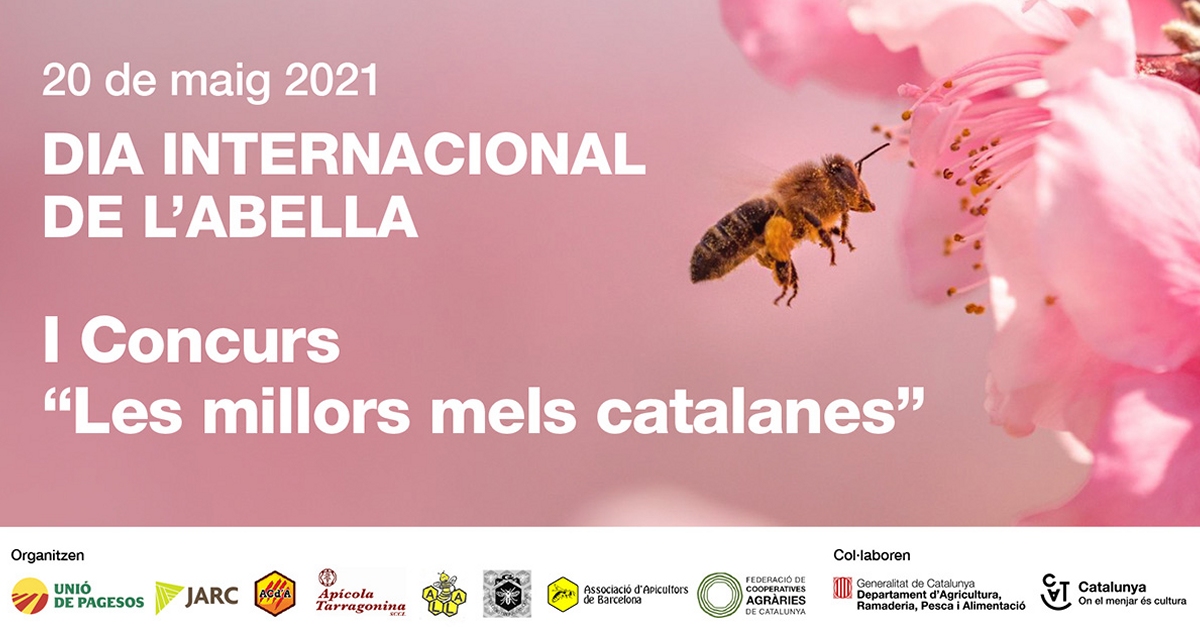 Catalunya celebra el Dia internacional de les Abelles amb el primer concurs Les millors mels catalanes | EbreActiu.cat, revista digital d’oci actiu | Terres de l’Ebre ...