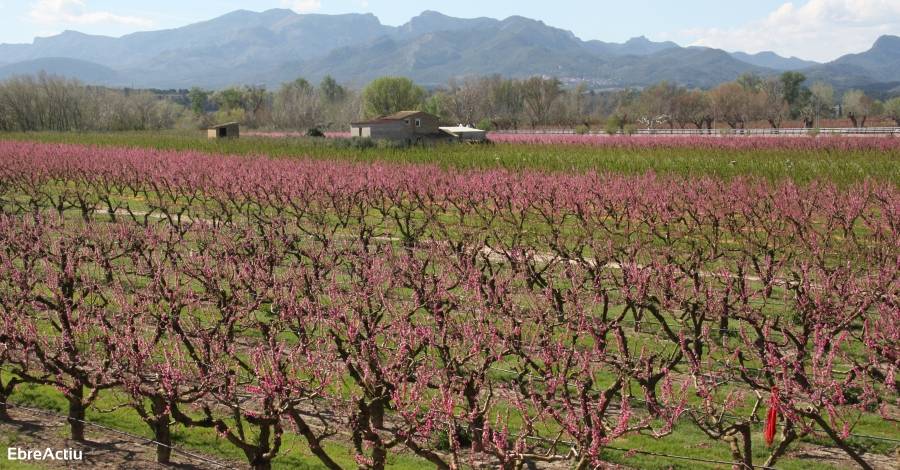 Catalunya lidera el projecte europeu Med Pearls per potenciar l’Slow Tourism | EbreActiu.cat, revista digital d’oci actiu | Terres de l’Ebre ...