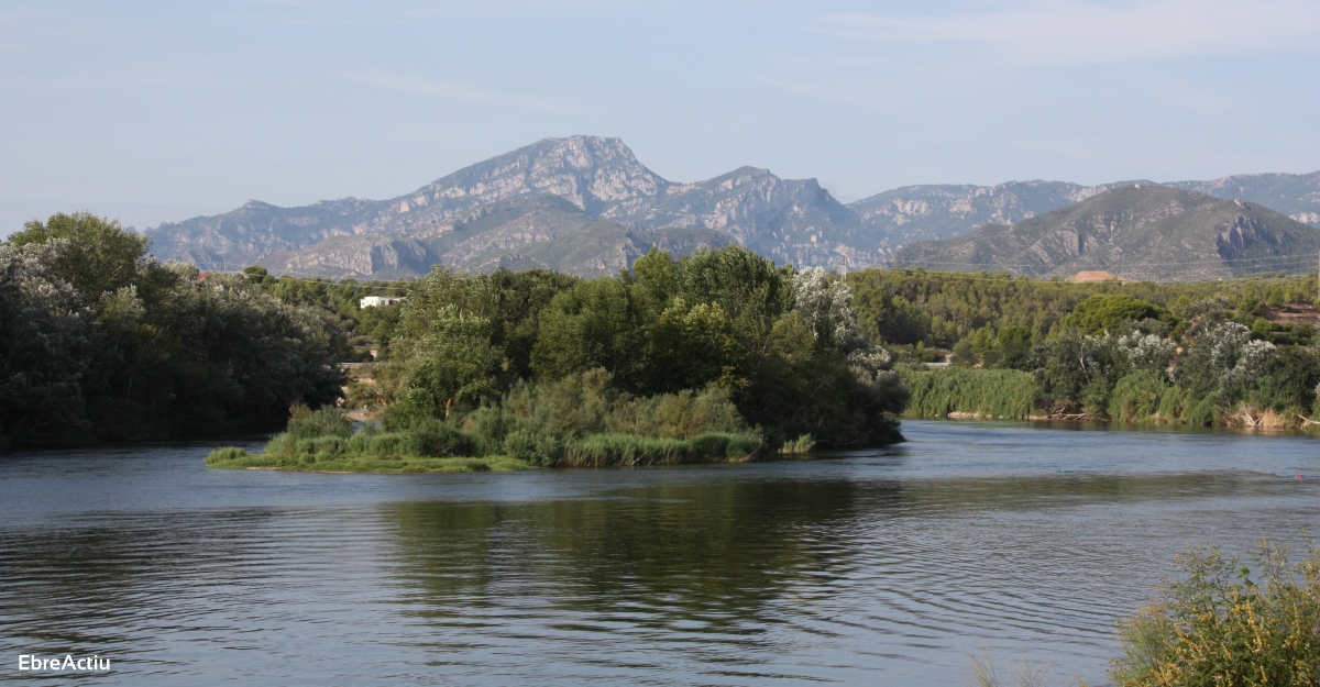 El ple del Consell Comarcal del Baix Ebre rebutja un transvasament de l’Ebre a Cantbria | EbreActiu.cat, revista digital d’oci actiu | Terres de l’Ebre ...