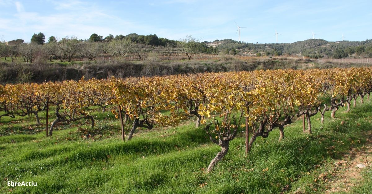 El Consell Comarcal signa un acord amb l’Associaci de Turisme Rural de la Terra Alta per promocionar conjuntament la comarca | EbreActiu.cat, revista digital d’oci actiu | Terres de l’Ebre ...