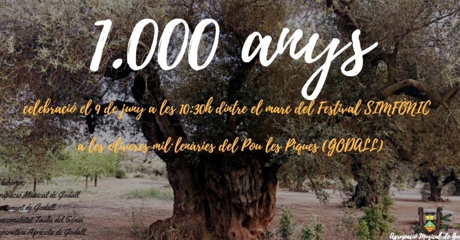 Celebraci 1.000 anys d’una olivera farga a Godall