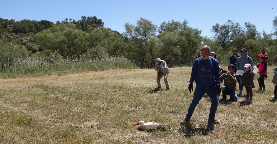 La Reserva Natural de Sebes celebra la Festa de les Cigonyes  | EbreActiu.cat, revista digital d’oci actiu | Terres de l’Ebre ...