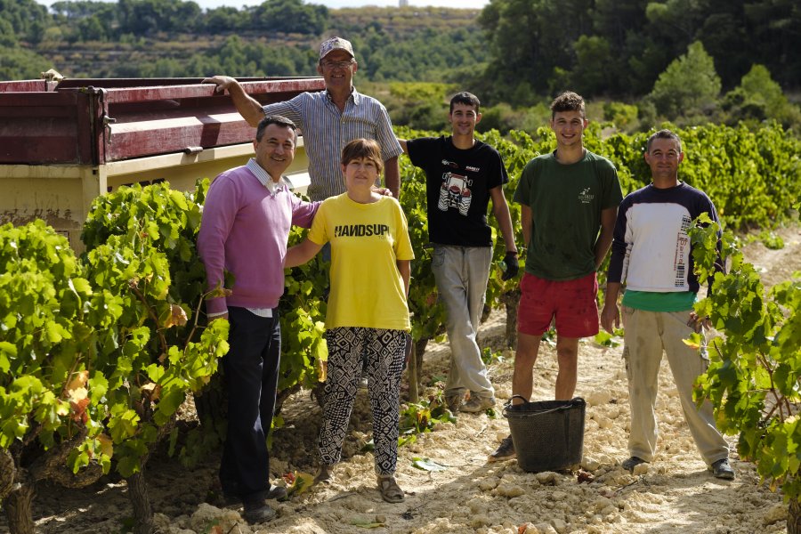 Celler Piol - Batea, DO Terra Alta | EbreActiu.cat, revista digital d’oci actiu | Terres de l’Ebre ...