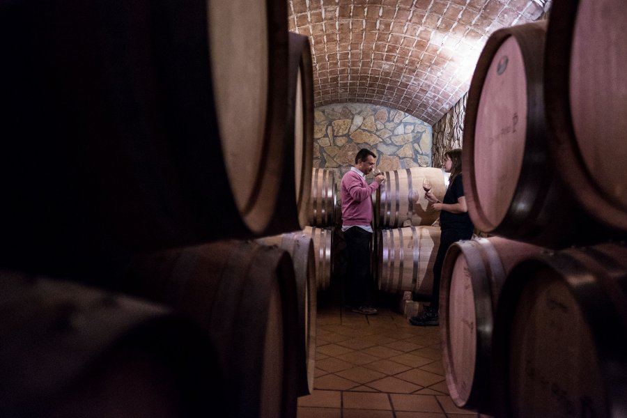 Celler Piol - Batea, DO Terra Alta | EbreActiu.cat, revista digital d’oci actiu | Terres de l’Ebre ...