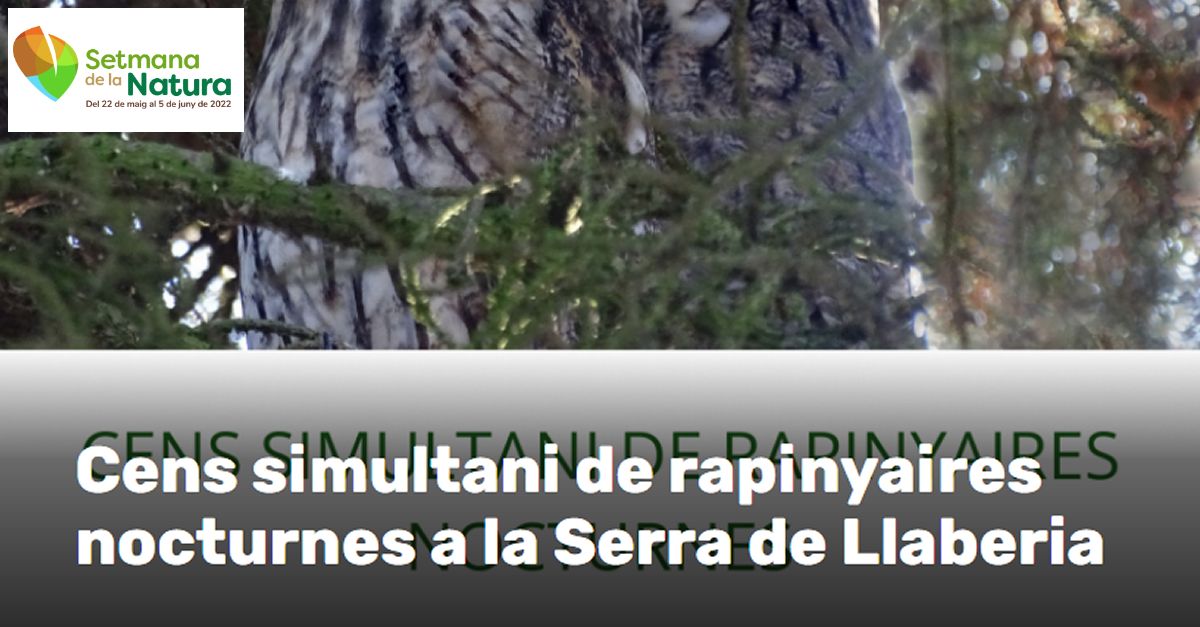 Setmana de la Natura: Cens simultani de rapinyaires nocturnes a la Serra de Llaberia