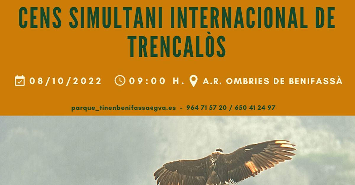 Censo simultaneo  internacional de quebrantahuesos