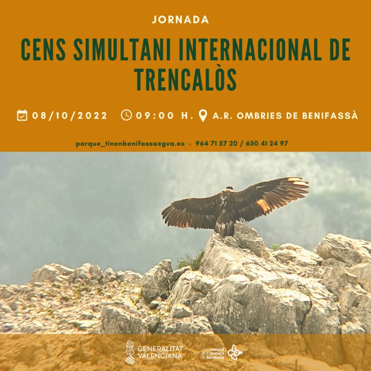 Cens simultani internacional de trencals