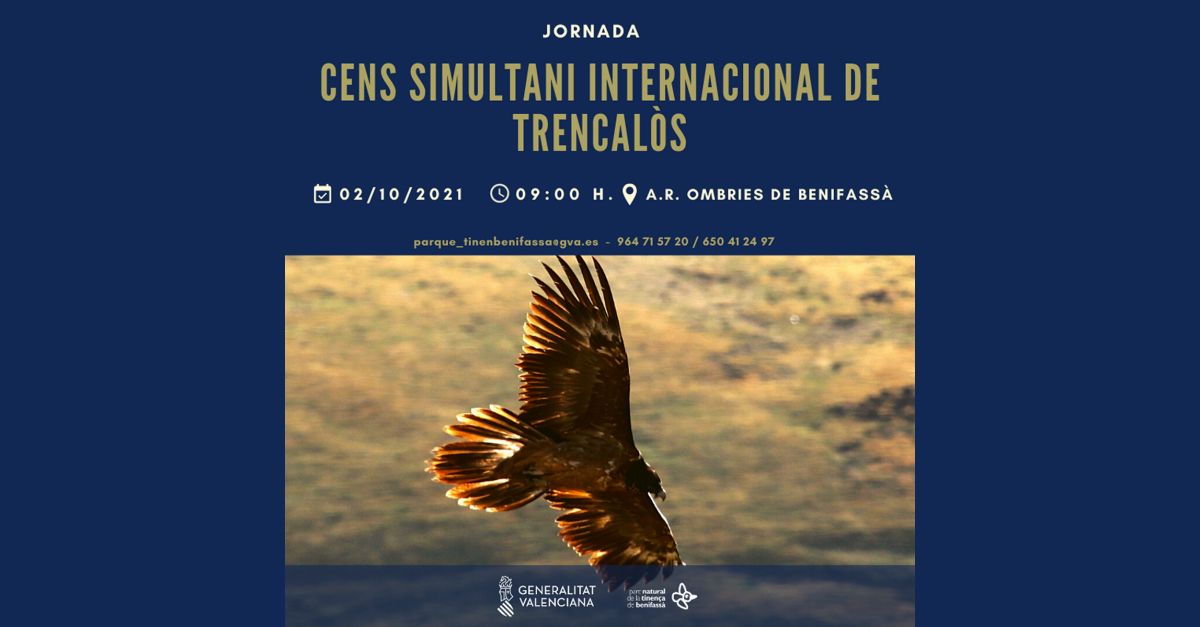 Cens simultani internacional de trencals