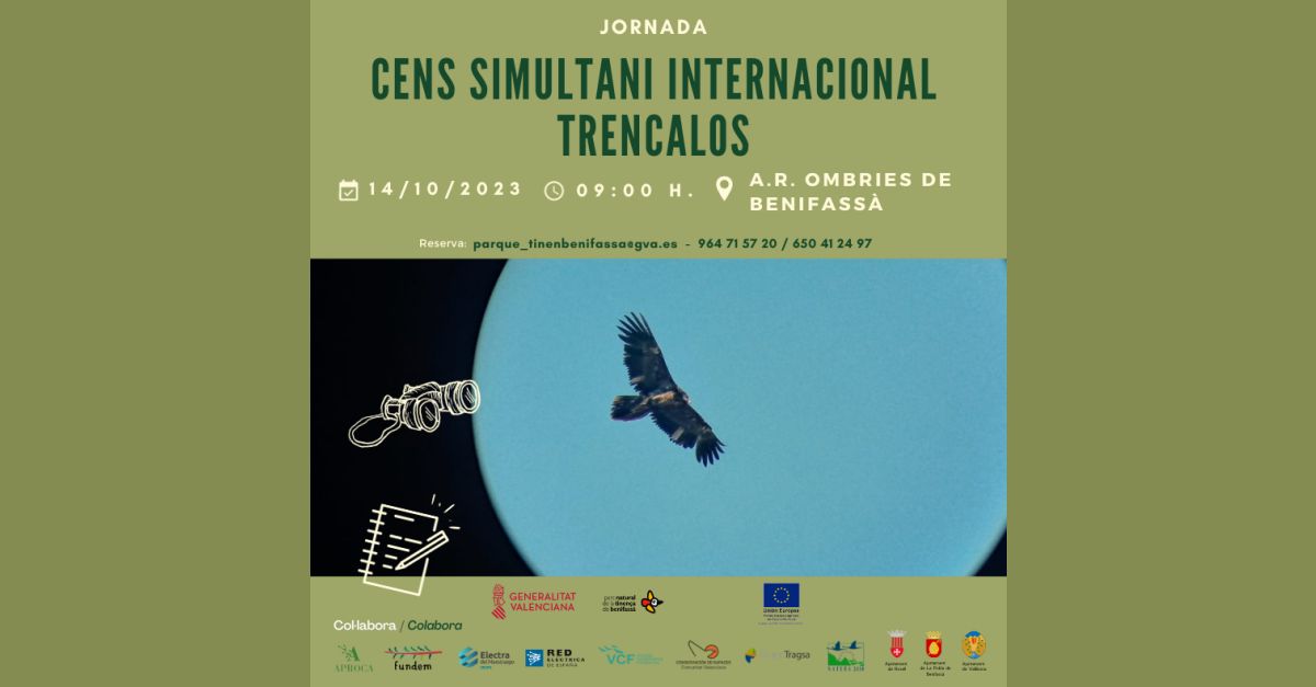 Cens simultani internacional de trencals