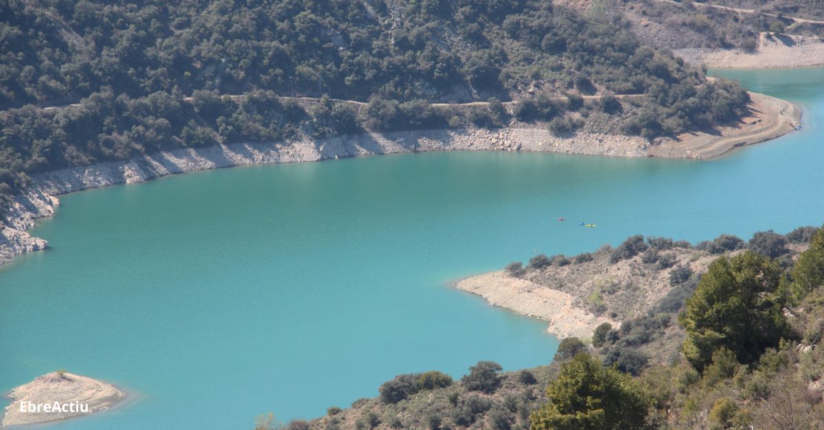 La CHE inclou cinc pantans catalans en un estudi sobre la fauna als embassaments de la conca del riu Ebre | EbreActiu.cat, revista digital d’oci actiu | Terres de l’Ebre ...