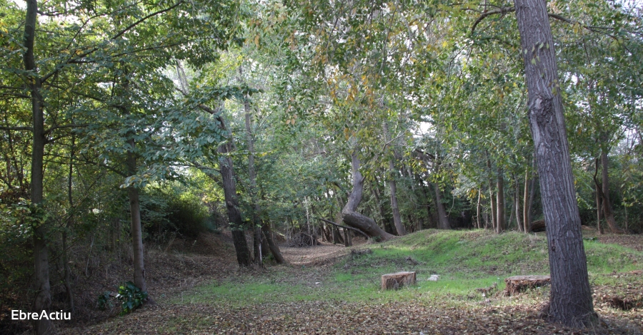 El Consorci per al Desenvolupament del Baix Ebre i Montsi programa el Cicle d’Eines pels Municipis | EbreActiu.cat, revista digital d’oci actiu | Terres de l’Ebre ...