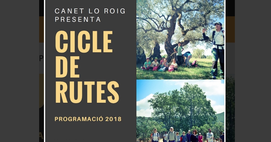 Cicle de rutes Canet Lo Roig: Oliveres millenries i Fira de l’Oli