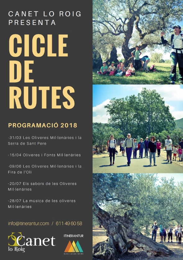 Cicle de rutes Canet Lo Roig: Oliveres millenries i Fira de l’Oli