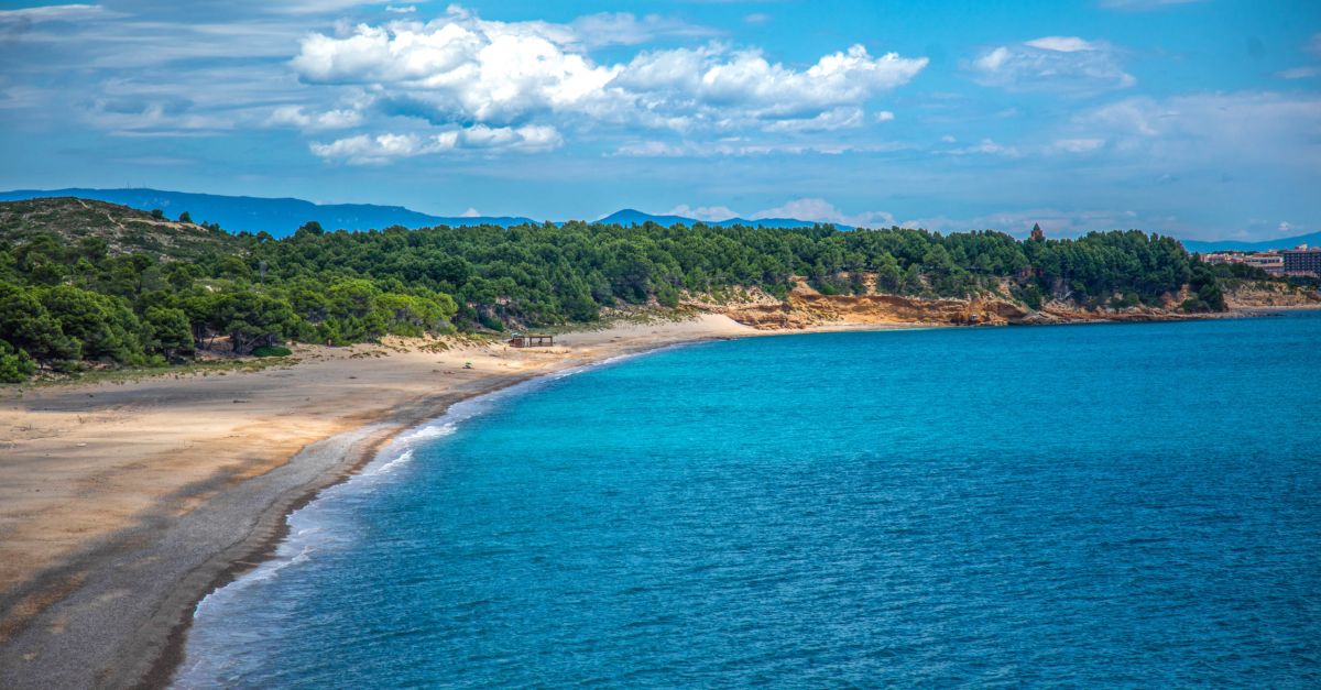 Cinc platges de Vandells i l’Hospitalet de l’Infant, reconegudes novament amb la Bandera Ecoplayas | EbreActiu.cat, revista digital d’oci actiu | Terres de l’Ebre ...