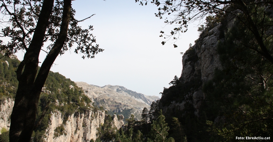 Una cincuentena de actividades para celebrar el Da Europeo de los Parques | EbreActiu.cat, revista digital de ocio activo | Terres de l’Ebre...