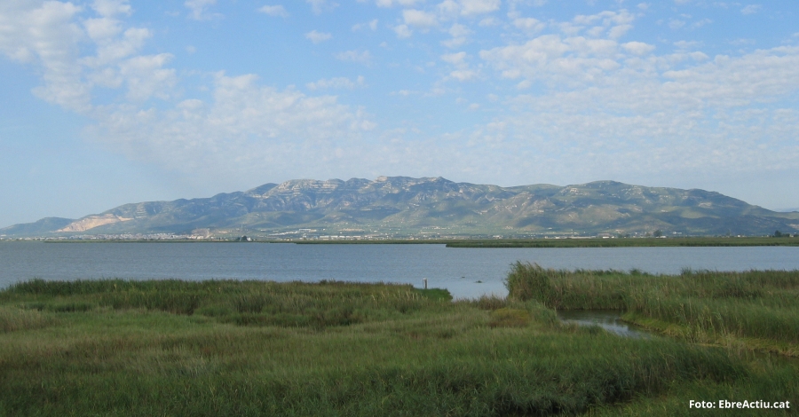 Una cincuentena de actividades para celebrar el Da Europeo de los Parques | EbreActiu.cat, revista digital de ocio activo | Terres de l’Ebre...