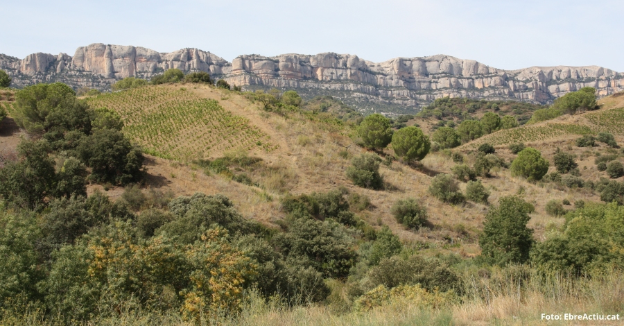 Una cinquantena d’activitats per celebrar el Dia Europeu dels Parcs | EbreActiu.cat, revista digital d’oci actiu | Terres de l’Ebre ...