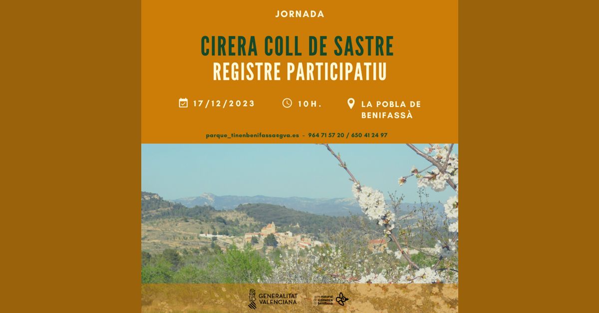 Acte per a la recuperaci de la cirera de Coll de Sastre