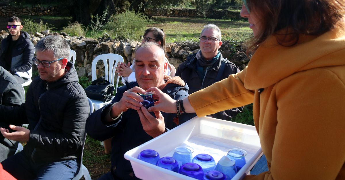 La collita d’oli millenari al territori Snia cau enguany a noms 66 litres per la sequera i el canvi climtic | EbreActiu.cat, revista digital d’oci actiu | Terres de l’Ebre ...