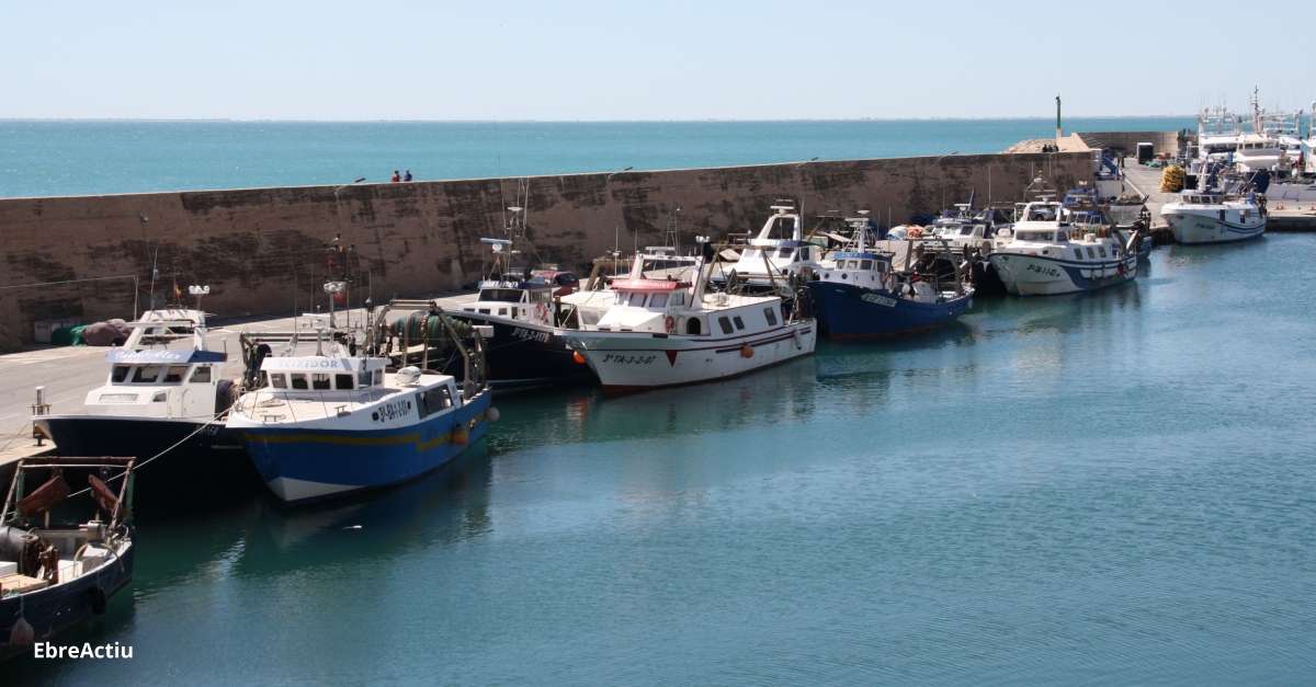 La flota d’arrossegament de Tarragona comena la veda biolgica de dos mesos | EbreActiu.cat, revista digital d’oci actiu | Terres de l’Ebre ...