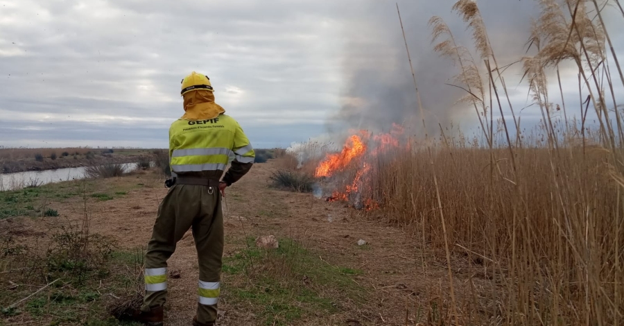 Comencen les cremes controlades al Parc Natural del Delta de l’Ebre | EbreActiu.cat, revista digital d’oci actiu | Terres de l’Ebre ...