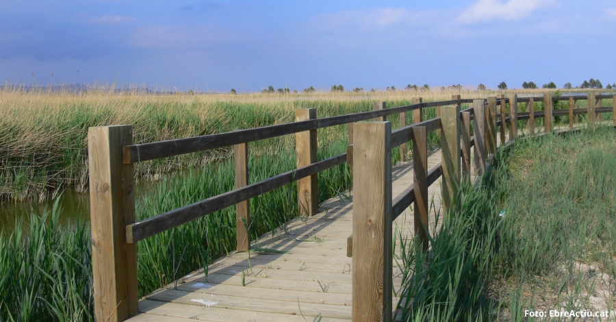 Comencen els tractaments contra els mosquits als arrossars perimetrals dels nuclis urbanitzats del Delta de l’Ebre | EbreActiu.cat, revista digital d’oci actiu | Terres de l’Ebre ...