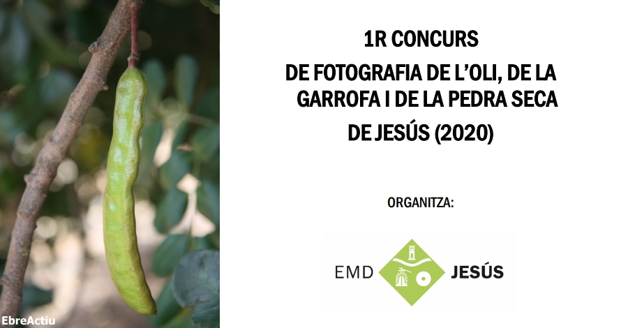 1r Concurs de Fotografia de lOli, de la Garrofa i de la Pedra Seca de Jess