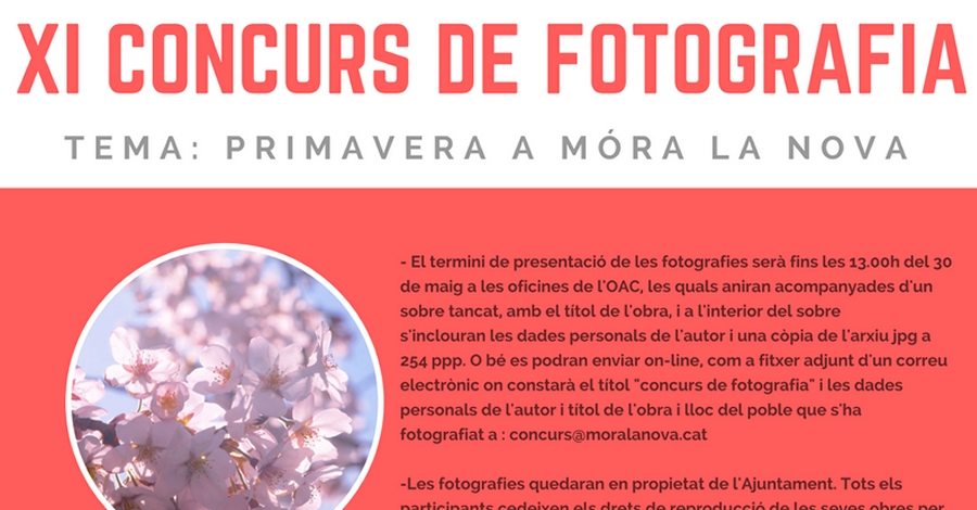 XI Concurs de fotografia: Primavera a Mra la Nova