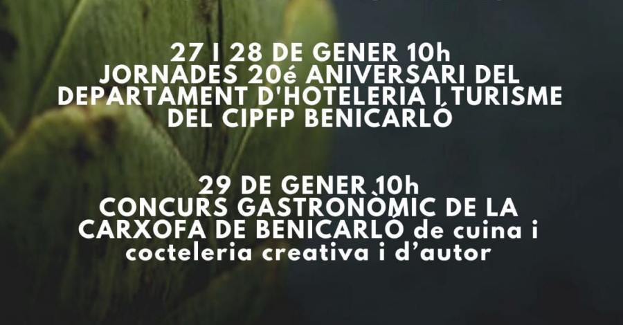 Concurso Gastronmico de la Alcachofa de Benicarl