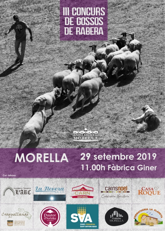 III Concurs de gossos de rabera de Morella