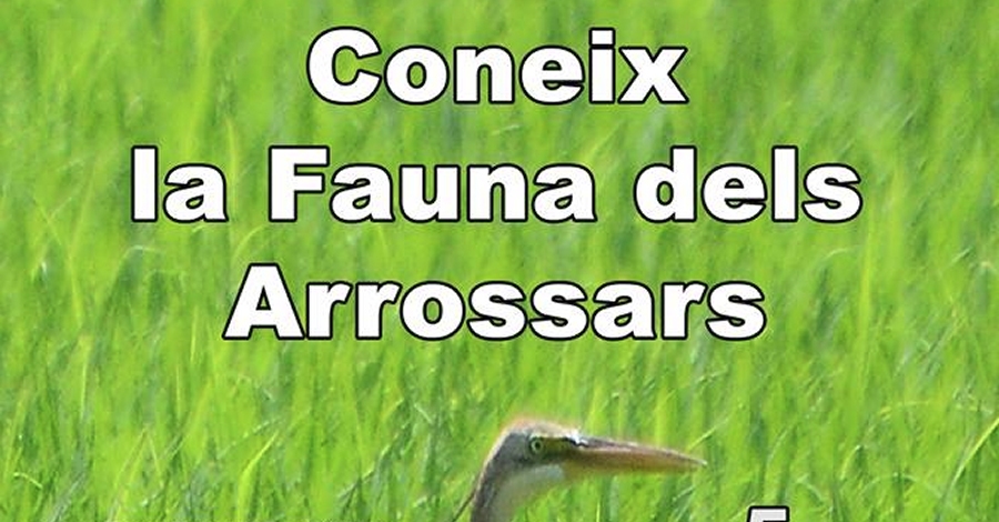 Coneix la fauna dels arrossars